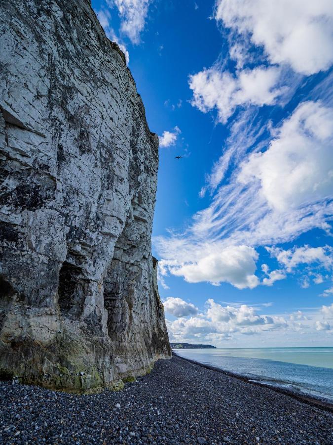Le Grand Bleu - 400M Plage - Spacieux Диеп Екстериор снимка